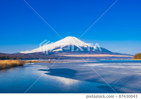 從山中湖看冬天的富士山 87430043