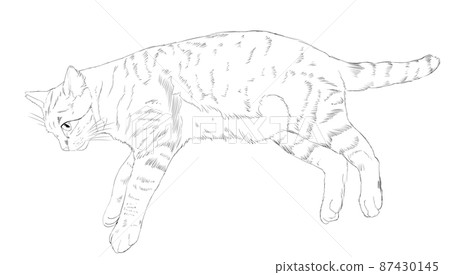 Illustration monochrome of a lying cat 87430145