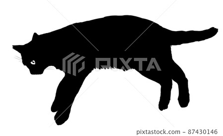 Illustration of cat silhouette 87430146
