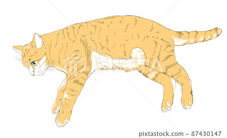 Illustration color of a lying cat 87430147