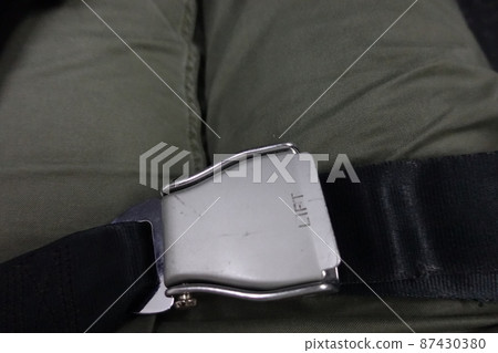 安全帶扣環 87430380