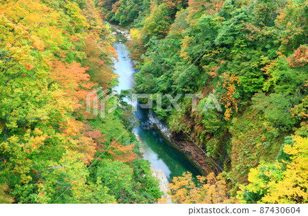 A valley of autumn leaves in Oyasukyo, Yuzawa City, Akita Prefecture A valley of autumn leaves in Oyasukyo, Yuzawa City, Akita Prefecture 87430604