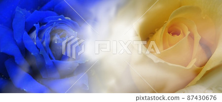 烏克蘭和平！ 87430676