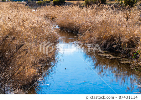 等待春天的小溪 等待春天的小溪 87431114