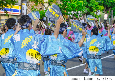 東京高圓寺阿波舞 87431389