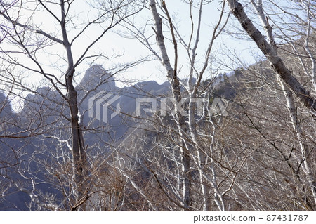 貓岳徒步旅行 87431787