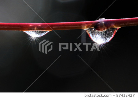 Water droplets Water droplets 87432427