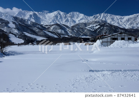 Scenery of white horse in winter 87432641
