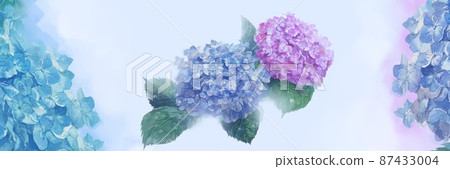 Watercolor painting Hand-drawn illustration of pale purple and light blue hydrangea 87433004
