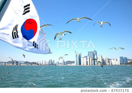 從遊輪上看釜山五六島前海中的海鷗 87433178