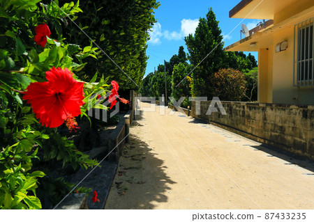 沖繩遠木島風光芙蓉 87433235