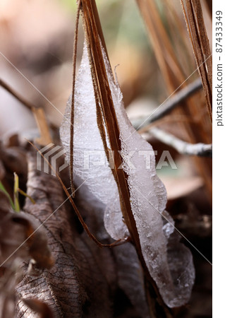 Simovassilla 87433349