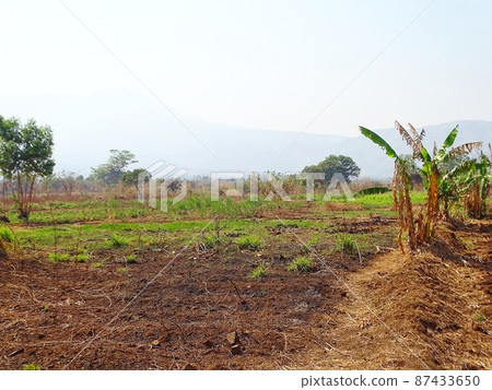 Everyday scenery of Malawi and Zomba in Africa 87433650