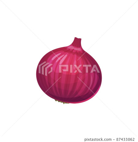 Isolated raw red onion bulb vegetable. Purple shallot farm fresh harvest, natural and healthy food or culinary seasoning ingredient. Cartoon vector whole bulb of red onion 87433862