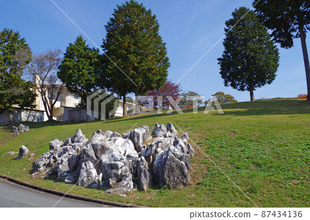 休暇村大社的立樹觀 87434136