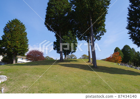 View of standing trees in Kyukamura Taishakukyo 87434140