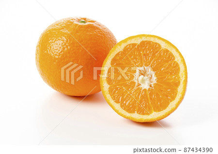 伊陽館 伊陽館 伊陽館 87434390