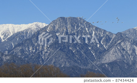 天鵝在北阿爾卑斯山的背景下飛翔 天鵝在北阿爾卑斯山的背景下飛翔 87434424