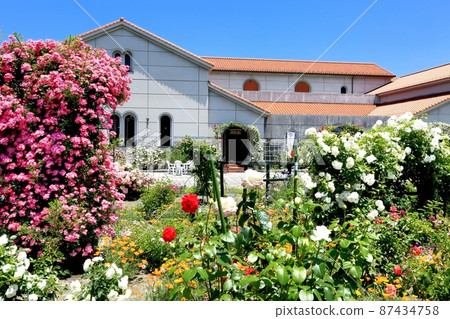 Toyosaki Museum of Modern Art and Rose Garden Toyosaki Museum of Modern Art and Rose Garden 87434758