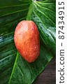 Mango 87434915