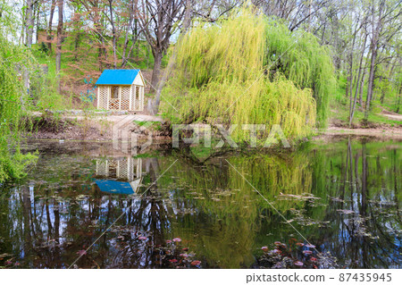 View of the Krasnokutsk park, Kharkiv region, Ukraine View of the Krasnokutsk park, Kharkiv region, Ukraine 87435945