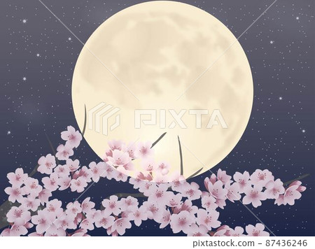 Cherry blossoms, moon, stars, sideways Cherry blossoms, moon, stars, sideways 87436246