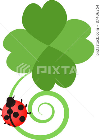 三葉草和瓢蟲 87436254