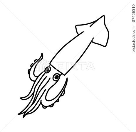 魚黑白魷魚的單色插圖 魚黑白魷魚的單色插圖 87436510