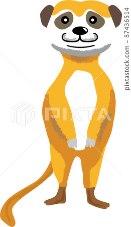 可愛的貓鼬站立的插圖 87436514