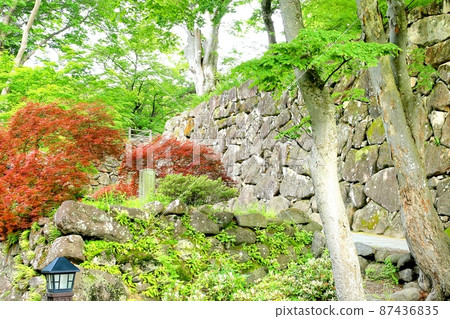Fresh green of Komoro Castle 87436835