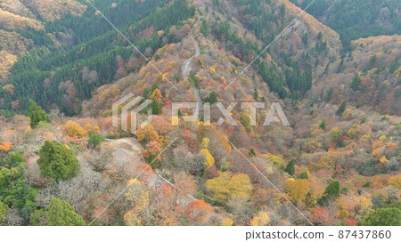 Autumn Koiriya (without sea of clouds) 87437860