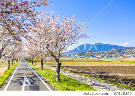 Tsukuba Kasumigaura Ring Ring Road with Cherry Blossom Trees and Mt. Tsukuba (Ibaraki Prefecture) Tsukuba Kasumigaura Ring Ring Road with Cherry Blossom Trees and Mt. Tsukuba (Ibaraki Prefecture) 87438346