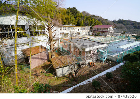 [Closed] Scenery of Kotourakita Elementary School in Kurashiki City 7 Kurashiki City, Okayama Prefecture 87438526