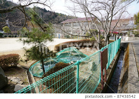 [關閉]倉敷市Kotourakita小學的風景岡山縣倉敷市11 87438542