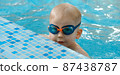 Toddler child learning to dive in indoor swimming pool with teacher. Standing on side, balancing and general physical activity for kids in water, early development. Boy kid instructed 87438787
