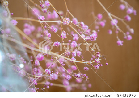 Glittering color Dried flower of baby's-breath (pink) Brown back Horizontal position Glittering color Dried flower of baby's-breath (pink) Brown back Horizontal position 87438979