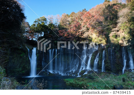 Autumn leaves and Shiraito Falls. Fujinomiya. 87439415