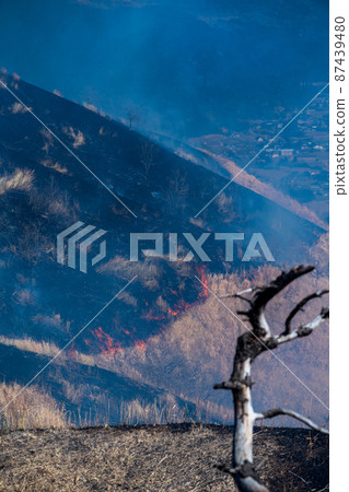 春天風景阿蘇野火風景 87439480