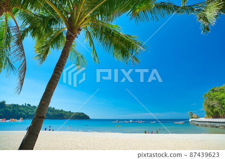 Tropical beach scenery with blue sky and palm trees Tropical beach scenery with blue sky and palm trees 87439623