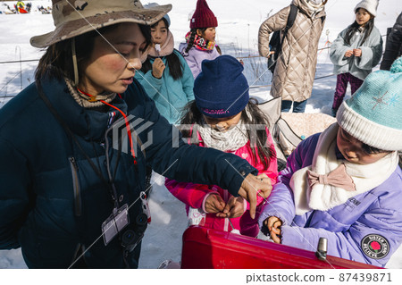 Kids making roasted marshmallows at the camp Kids making roasted marshmallows at the camp 87439871