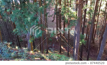 100 Fine Castles of Japan Yamanaka Castle Kitano Maruppori 100 Fine Castles of Japan Yamanaka Castle Kitano Maruppori 87440520