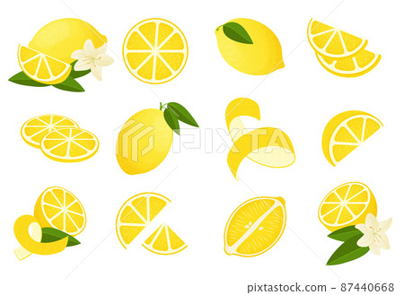 Lemon . Cartoon citrus peel slice half and , sour lemonade ingredients. Vector isolated set realistic citrus vitamins Lemon . Cartoon citrus peel slice half and , sour lemonade ingredients. Vector isolated set realistic citrus vitamins 87440668