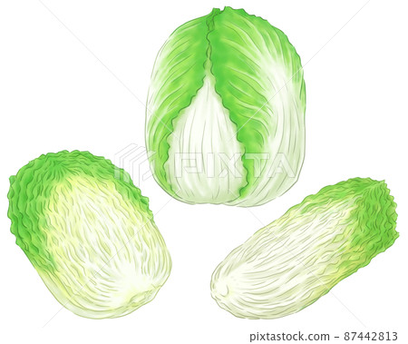 1個大白菜，一半和四分之一 87442813