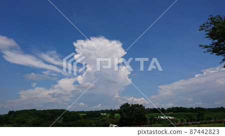 那須的藍天和春雲 那須的藍天和春雲 87442823