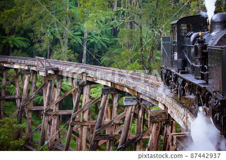 Puffing Billy Train Puffing Billy Train 87442937