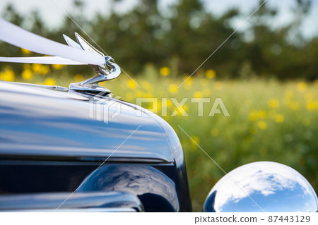 Bride's Car 87443129