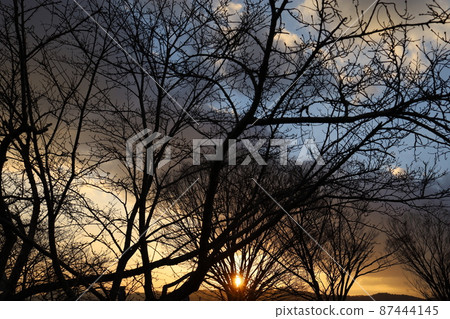 Sun, clouds and trees Sun, clouds and trees 87444145