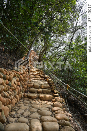苗栗火焰山、台坂大峰谷、山間步道 87445017