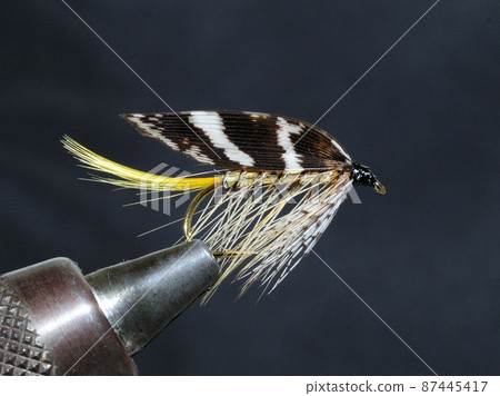 濕飛（大莎草） 87445417