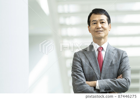 Senior businessman portrait shooting cooperation "LINK FOREST" 87446275